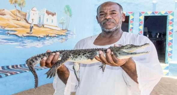 Kayan Guest House Assuan Esterno foto