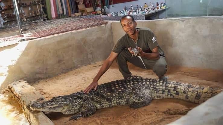 Kayan Guest House Assuan Esterno foto